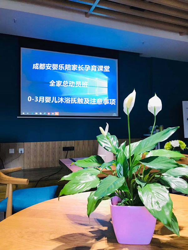 微信图片_20190311111334_副本.jpg